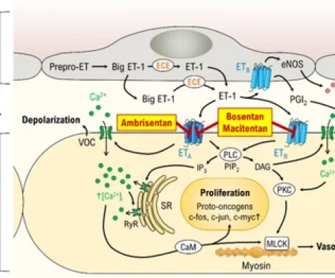 Bosentas 125 Mg Bosentan Tablets